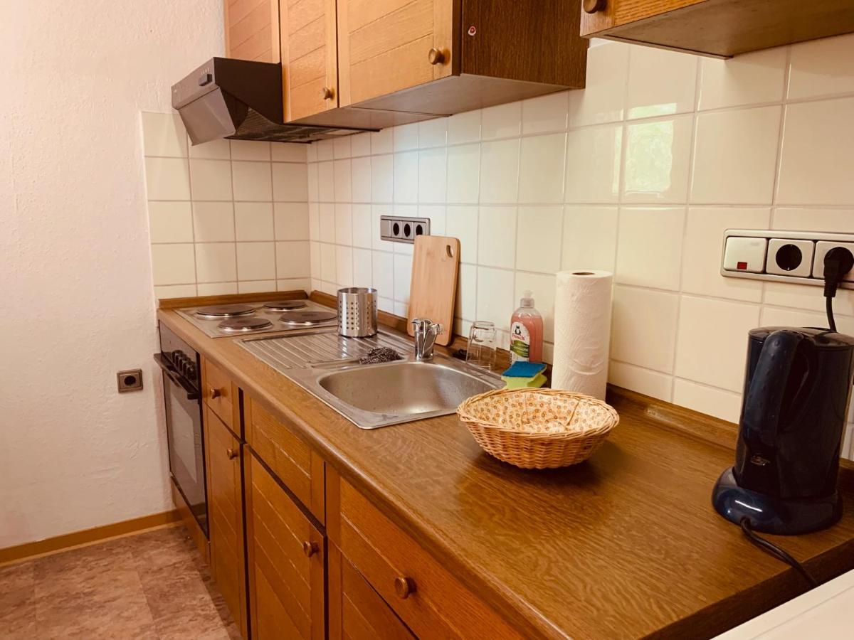 Gemuetliche Wohnung Bergblick バート・ハルツブルク エクステリア 写真